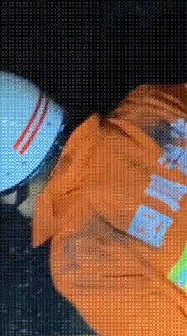 走丢的金毛在马路上找主人,金毛丢了再贴寻狗启事