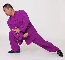 心意拳必学三招,心意六合拳十二把劲练法