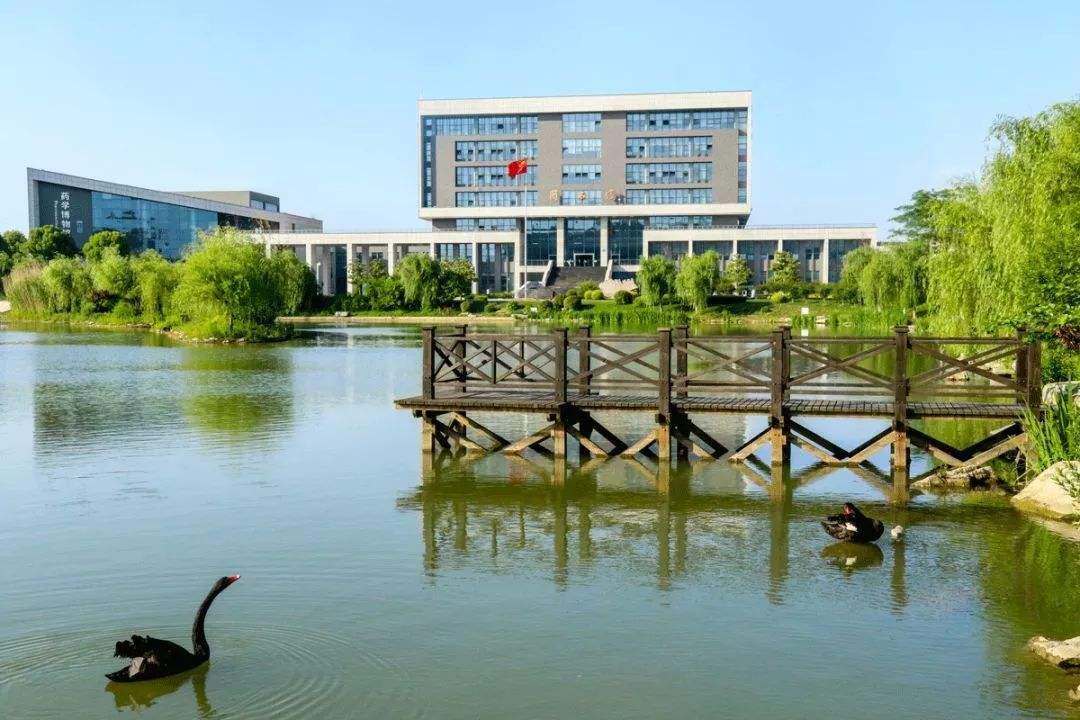 每天带你了解更多知识,每天带你认识一个医学专业