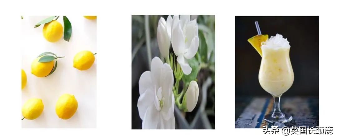 英国香水哪些系列,小众英伦风香水