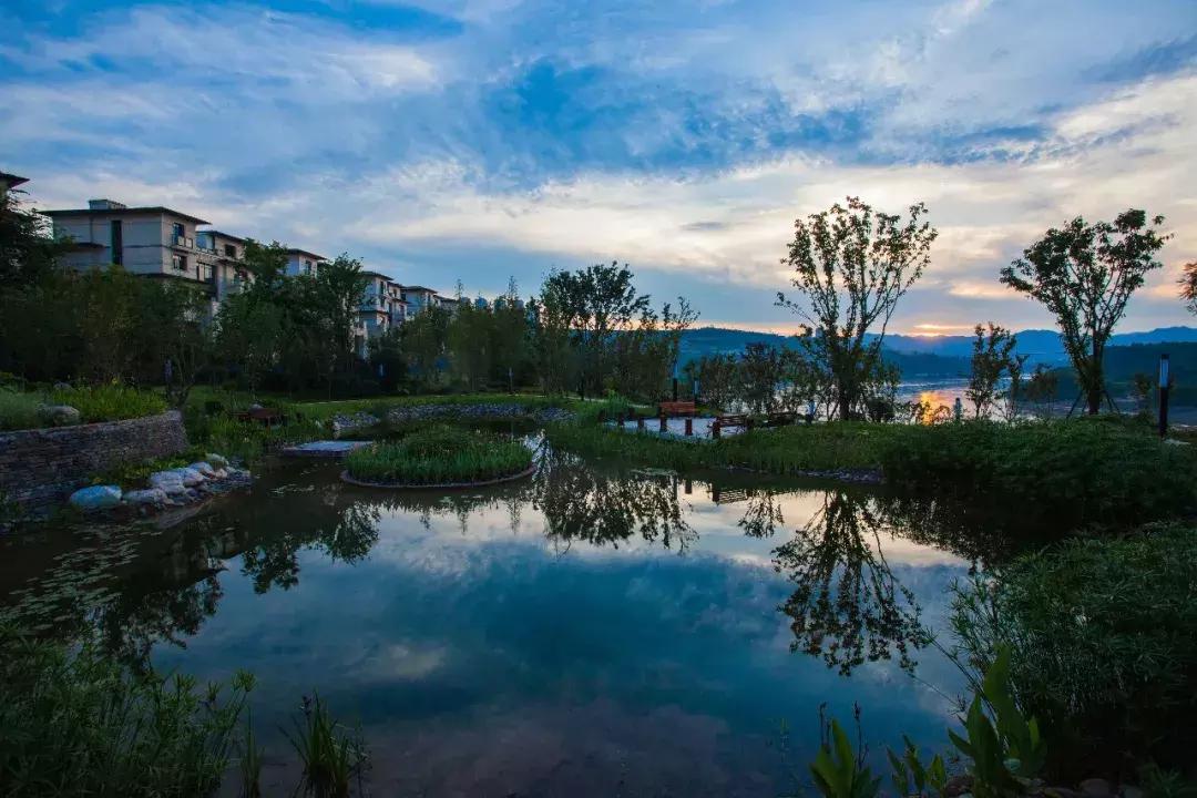 浠ｉ┚鍙告満璁茶堪鐪熷疄鏁呬簨,浠ｉ┚鍙告満鐪熷疄缁忓巻