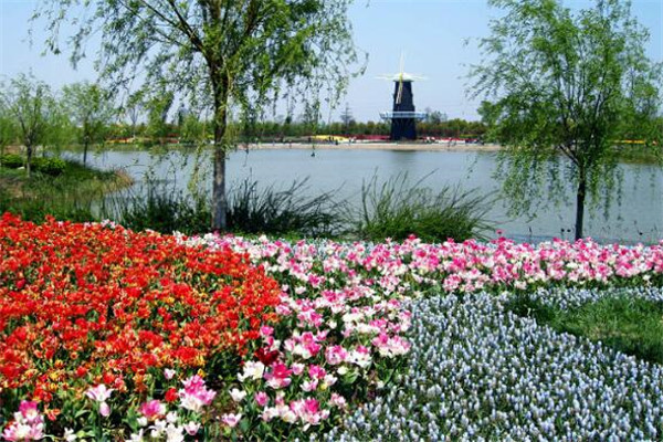 上海必去的十大景点排名,上海近郊冷门却值得一游的好去处