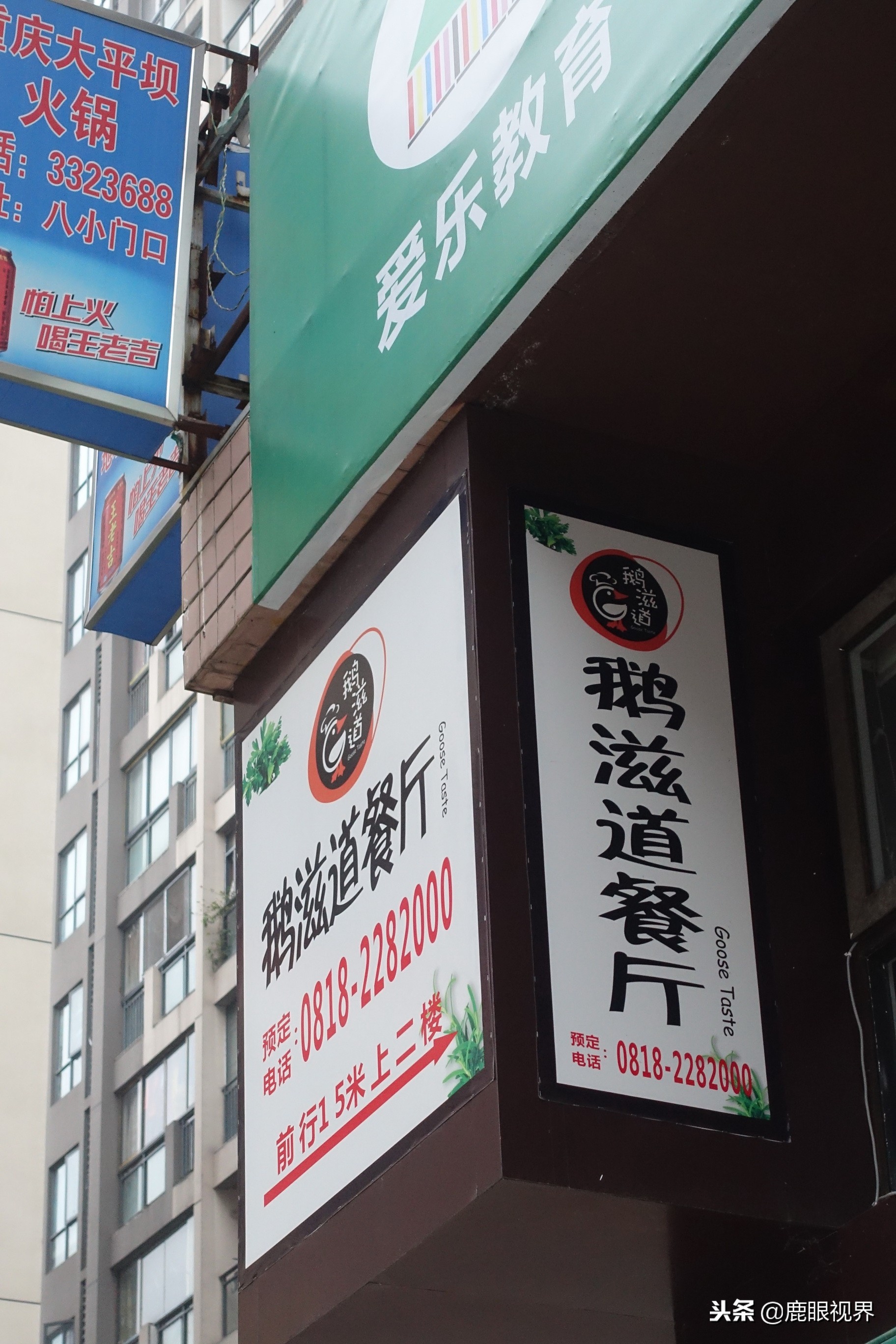 鹿眼视界多少钱一个,鹿眼视界店招原版