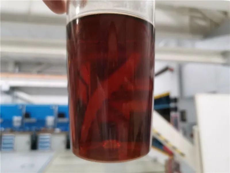 一任天真盈香易泡：冷泡，闷泡，淋泡轮番上阵怎么泡都好喝