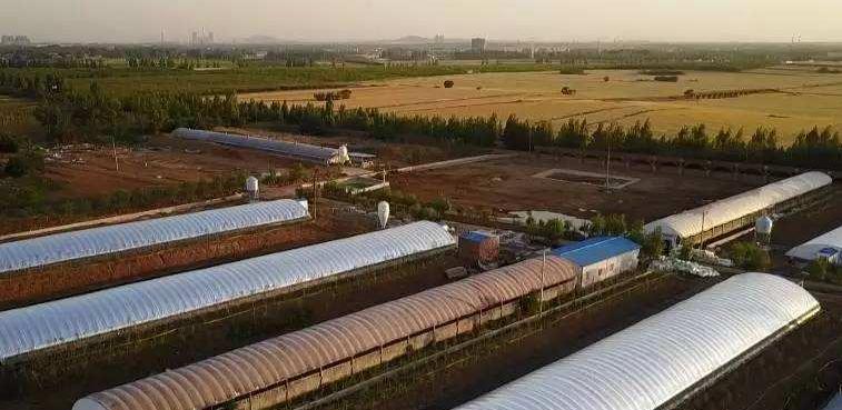 循环农业致富,循环农业结出致富果