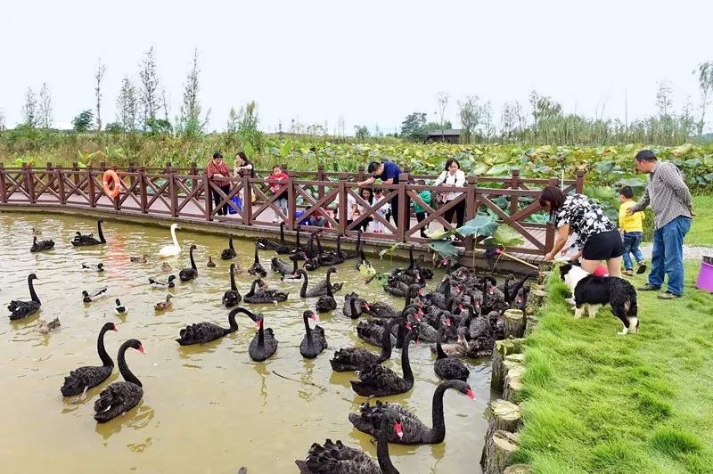 长沙洋沙湖旅游度假区,长沙洋沙湖