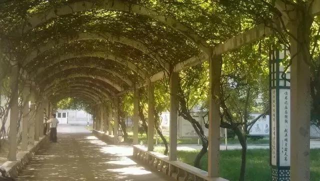 镇江实验高中地址,镇江实验高中怎么样