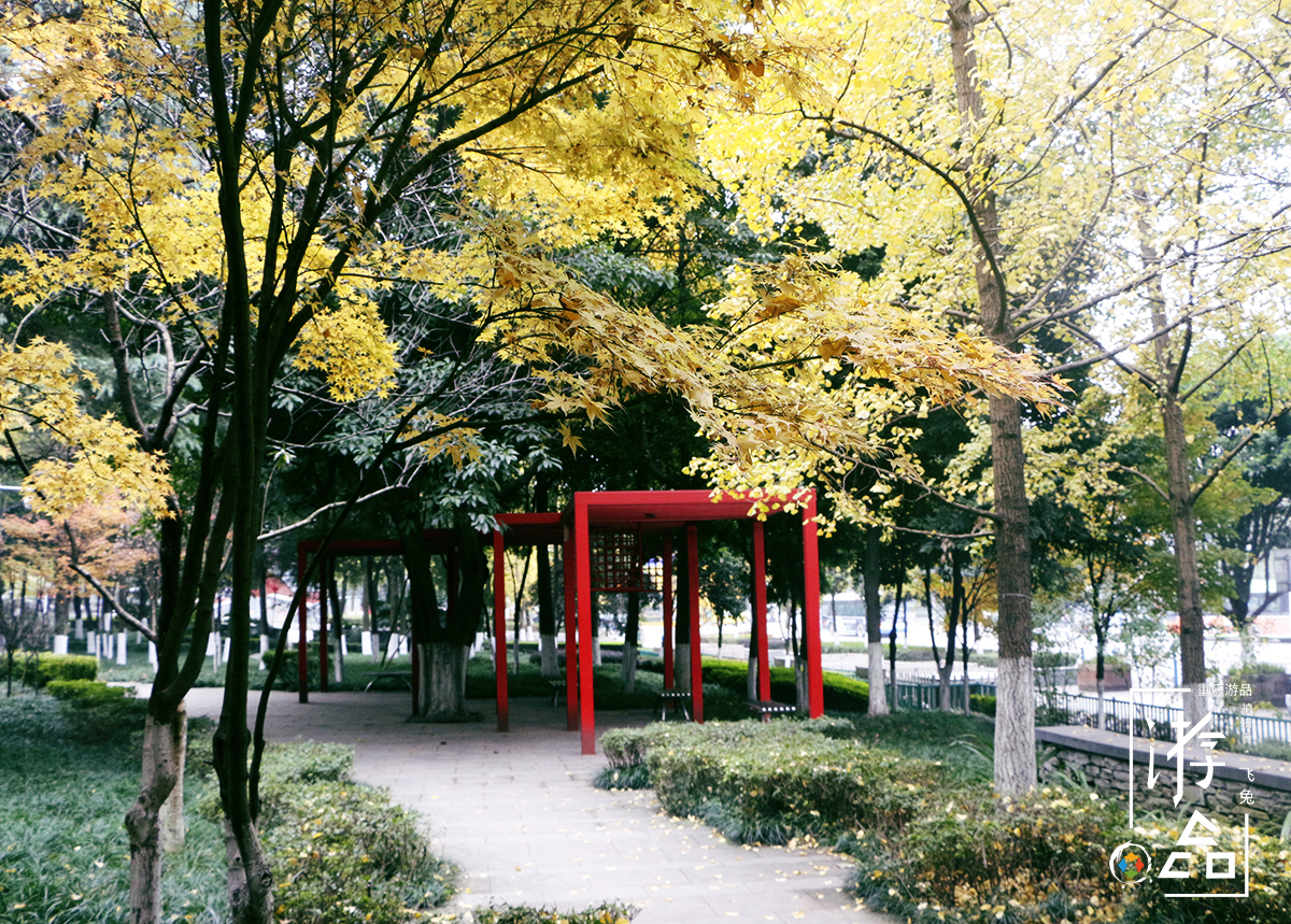 从问题少年到一代杨过,从问题少年逆袭成首富