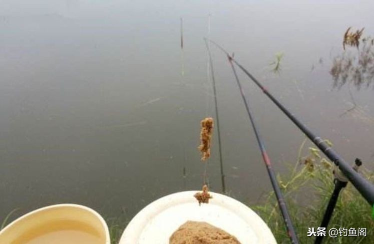教你一分钟学会开拉饵，有了这4个技巧，还怕饵料状态不好吗？