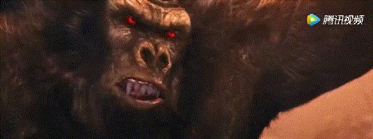 七龙珠里面的成龙是龟仙人吗,成龙谈七龙珠