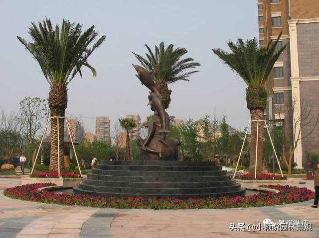 住宅小区植物配置方案,植物种植小技巧一览表图