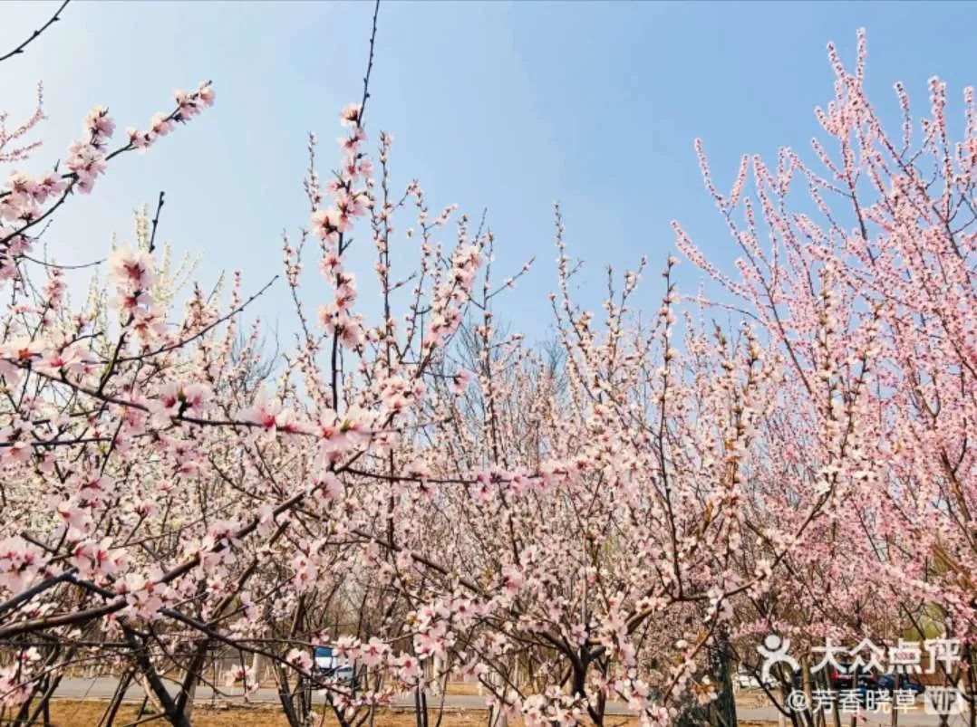 别再去挤故宫了！天津这些地界儿，足够你制霸五一朋友圈！