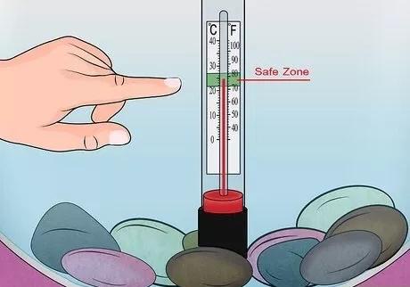 怎么治疗鱼的失鳔病,鱼失鳔症怎么治疗