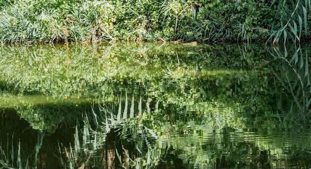 深圳免费公园适合儿童,深圳免费公园哪里最好啊