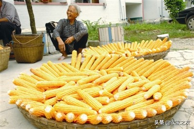 巴马特色美食火麻仁汤,巴马瑶寨火麻汤