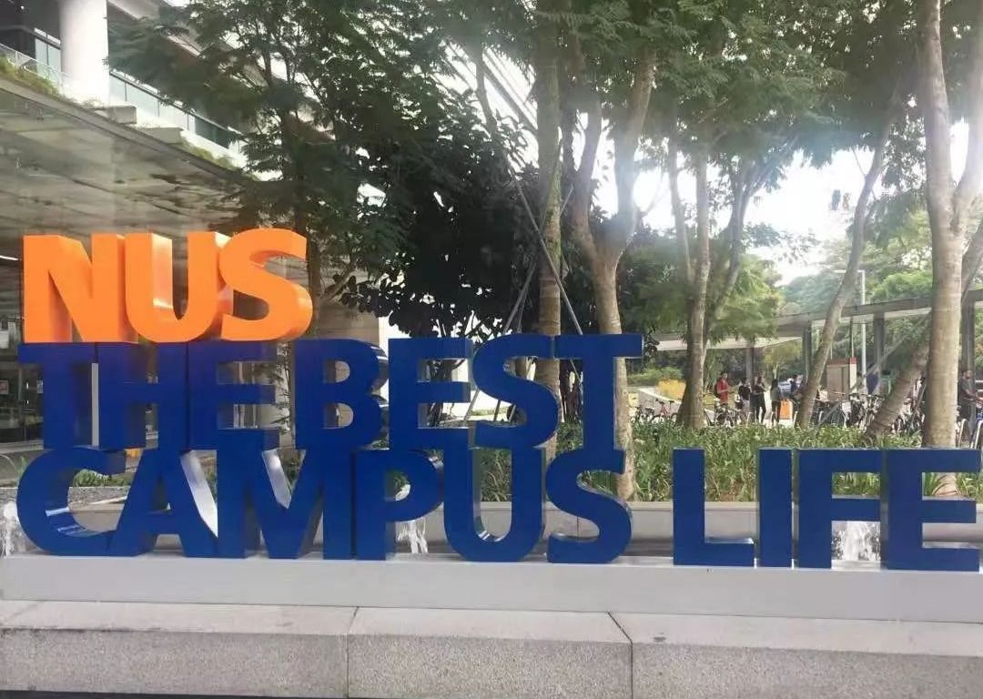 好玩便宜的磁铁,又好玩又便宜的磁铁