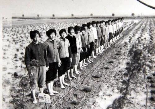 天下第一村华西村衰败,华西村第一村最近出了什么事