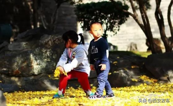 西安赏秋,西安赏秋红叶好去处