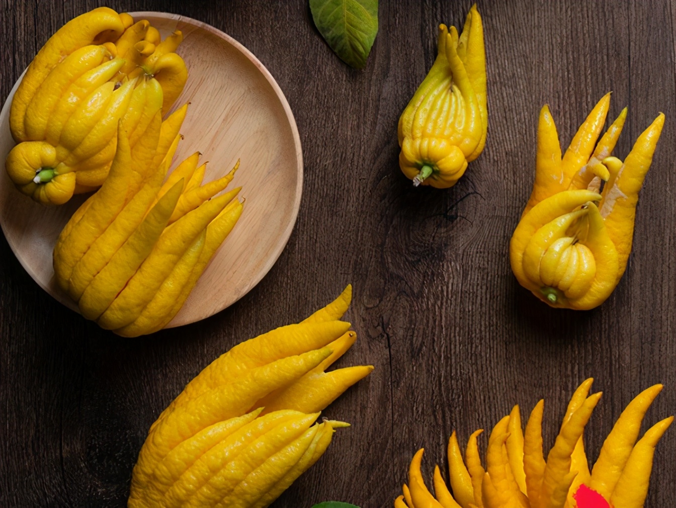 过年了，准备点金佛手，喜庆而且用处多，能泡茶做果干还能泡酒