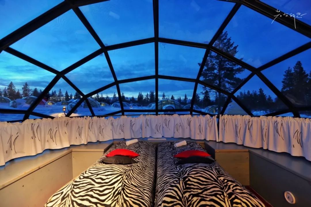 光遇欧若拉季新渴望的东西是什么,欧若拉最渴望的时候