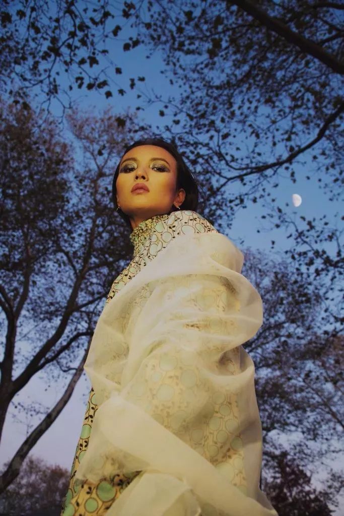 国际超模刘雯何穗,何穗刘雯谁的出场费高