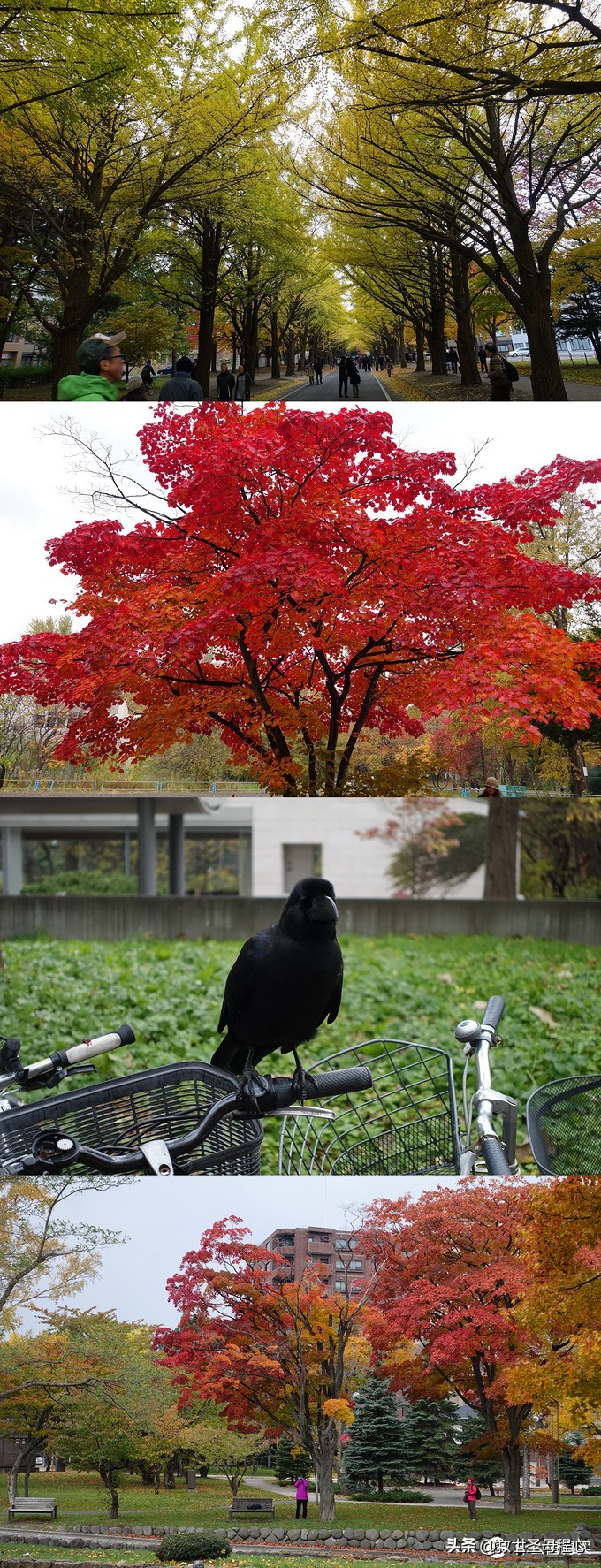 日本自由行出境旅游,去日本旅游要流水账单