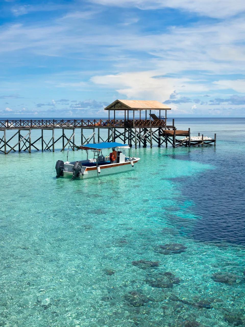 中国至今没被认全的20个邻居,个个身怀宝藏,你知道几个?