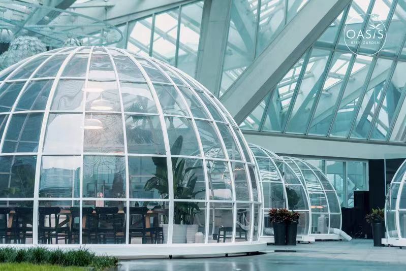 资讯生活,资讯生活站