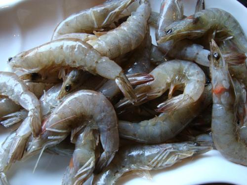 基围虾和明虾是同一种虾吗,基围虾明虾和白对虾哪个好吃