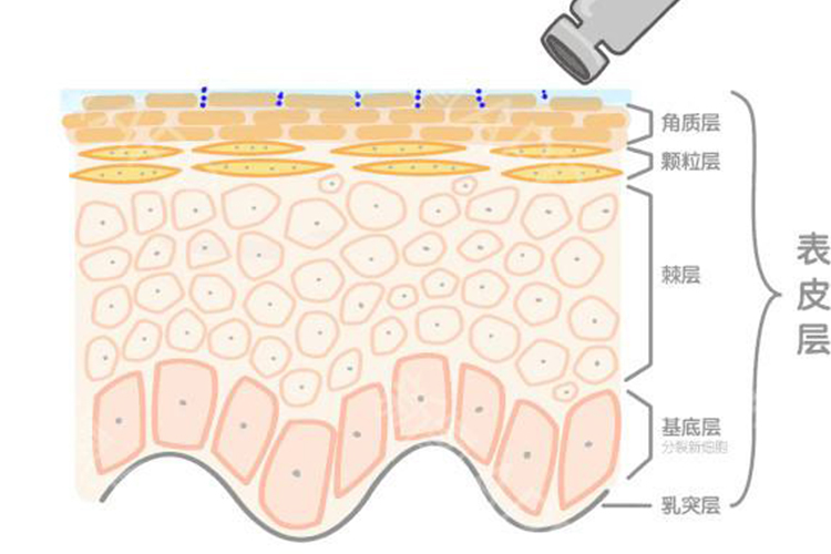冬天的身体乳推荐哪款好,秋冬身体乳怎么选看这篇就够了