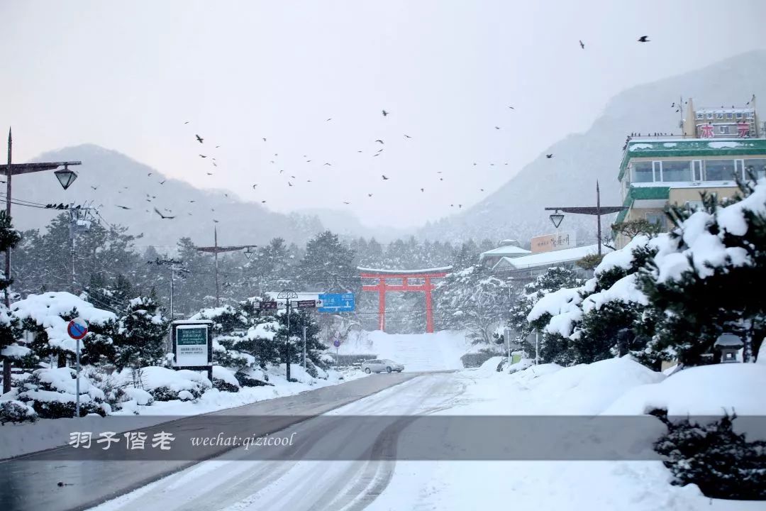 老实说，这一趟北海道就是为了拍好看的照片去的