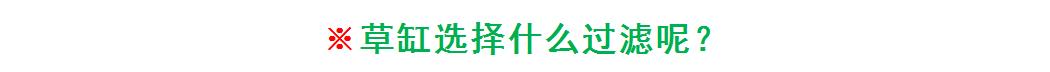 入坑草缸的两个作品,新手草缸用什么过滤最佳