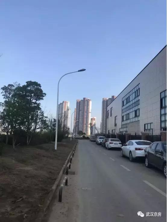 逆市大涨的股票有哪些,逆市上涨板块