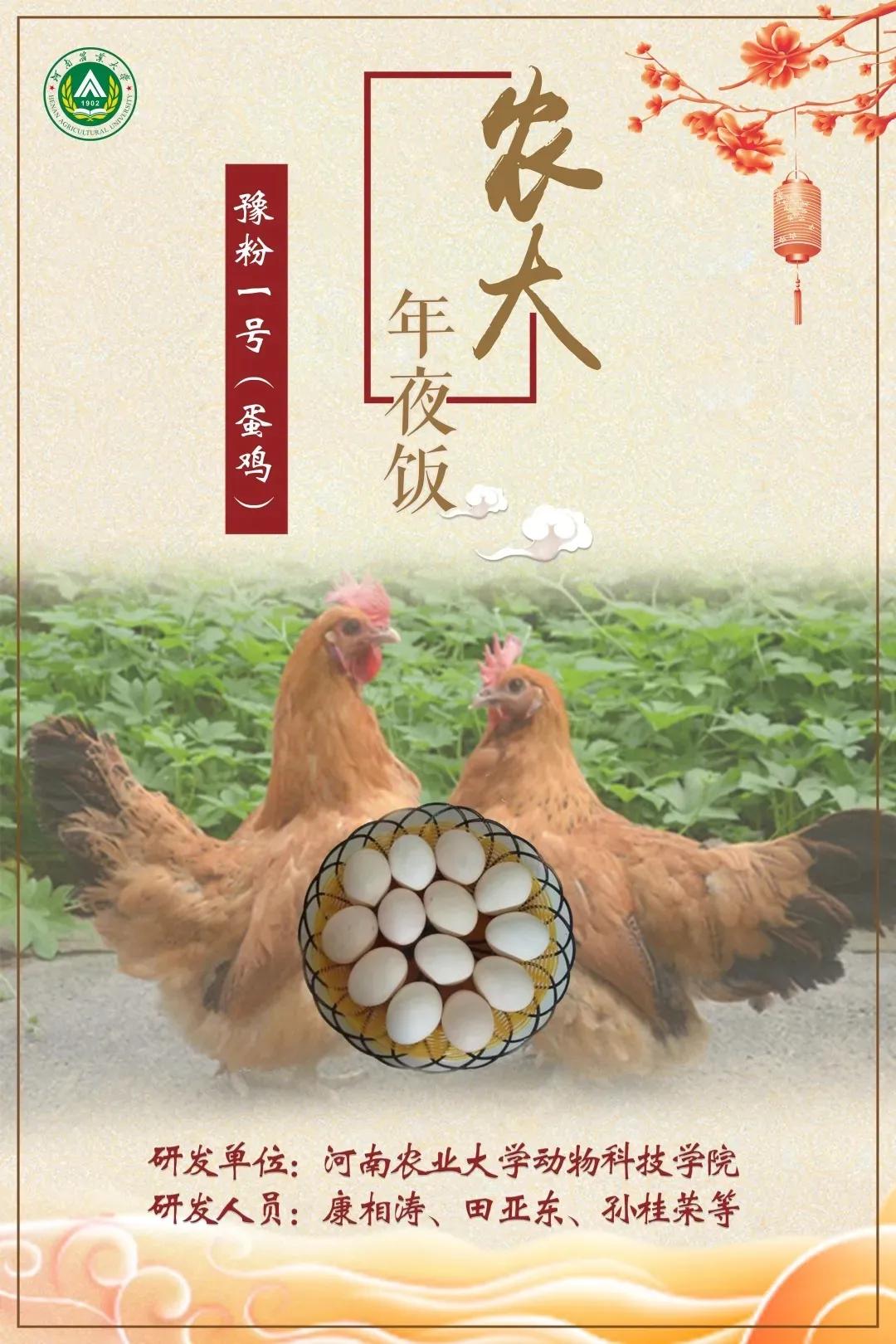 农大人,农大人美食