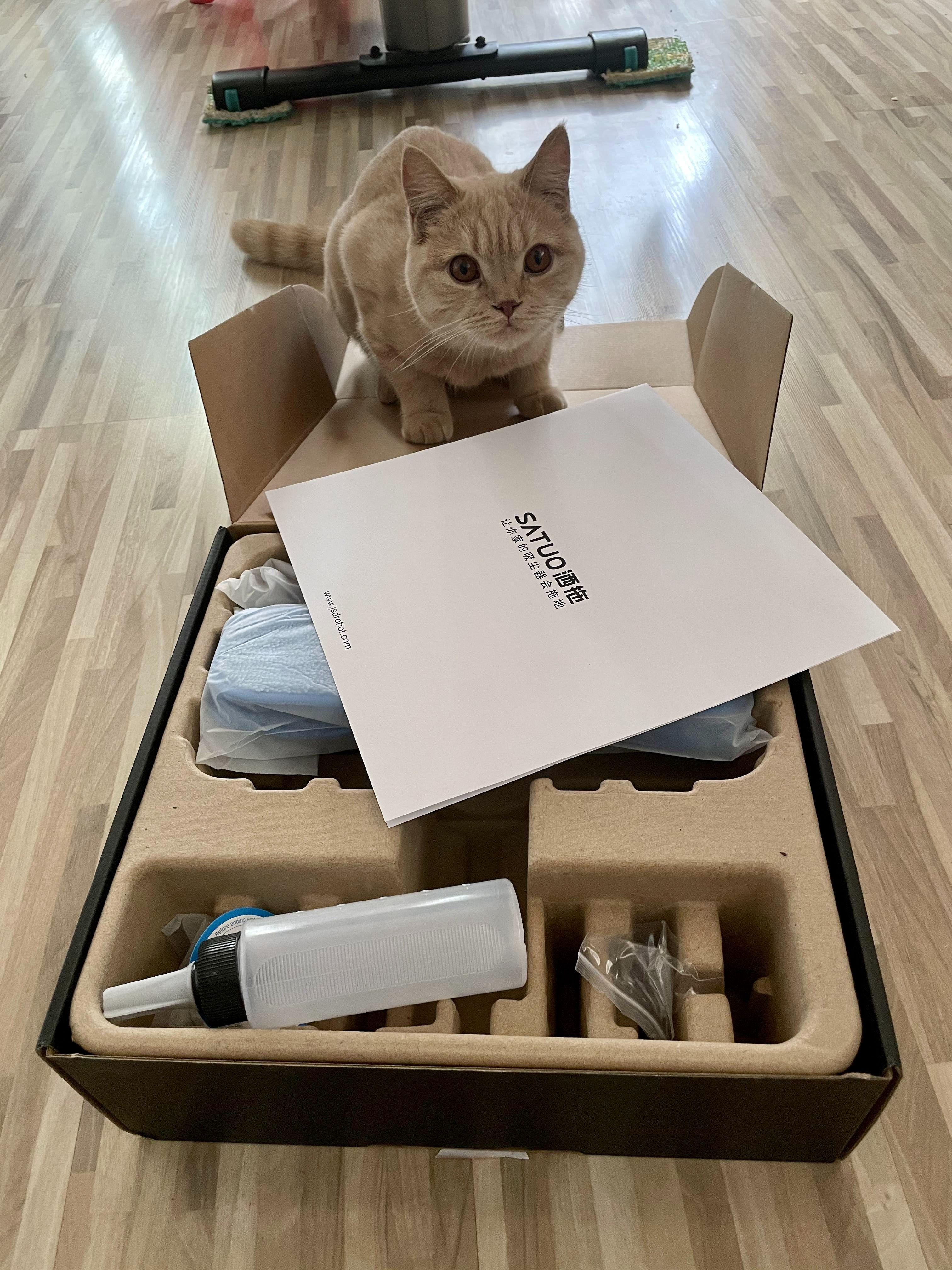 戴森v8能装拖把头吗,用了四年的戴森v8