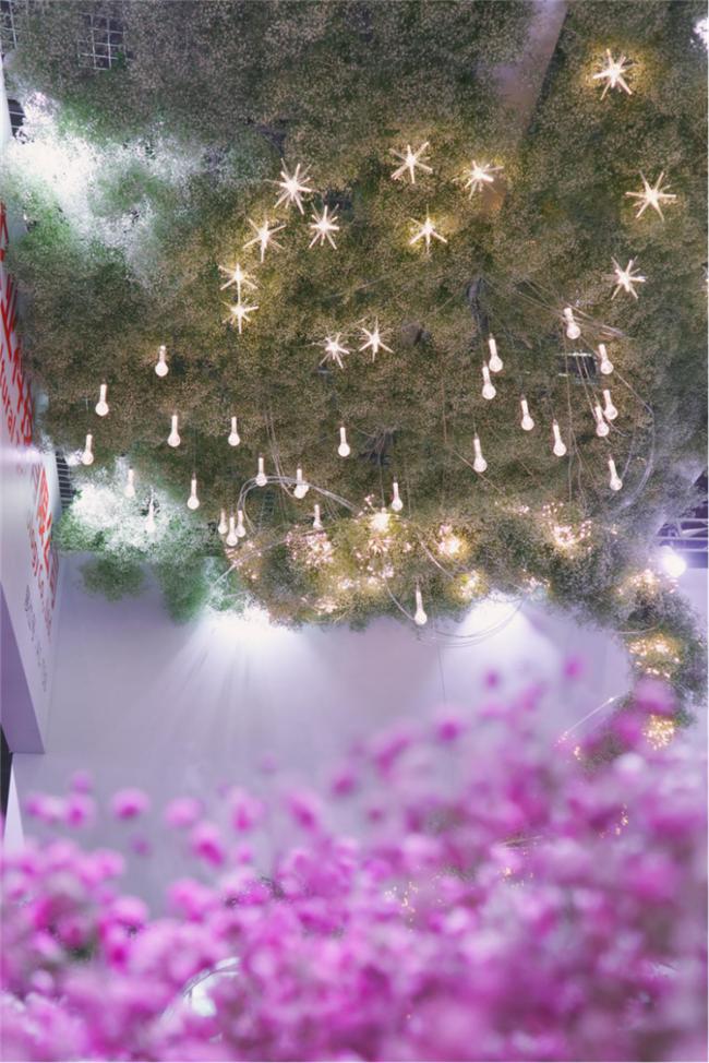 让人惊艳的花展,花展上看到的美到窒息