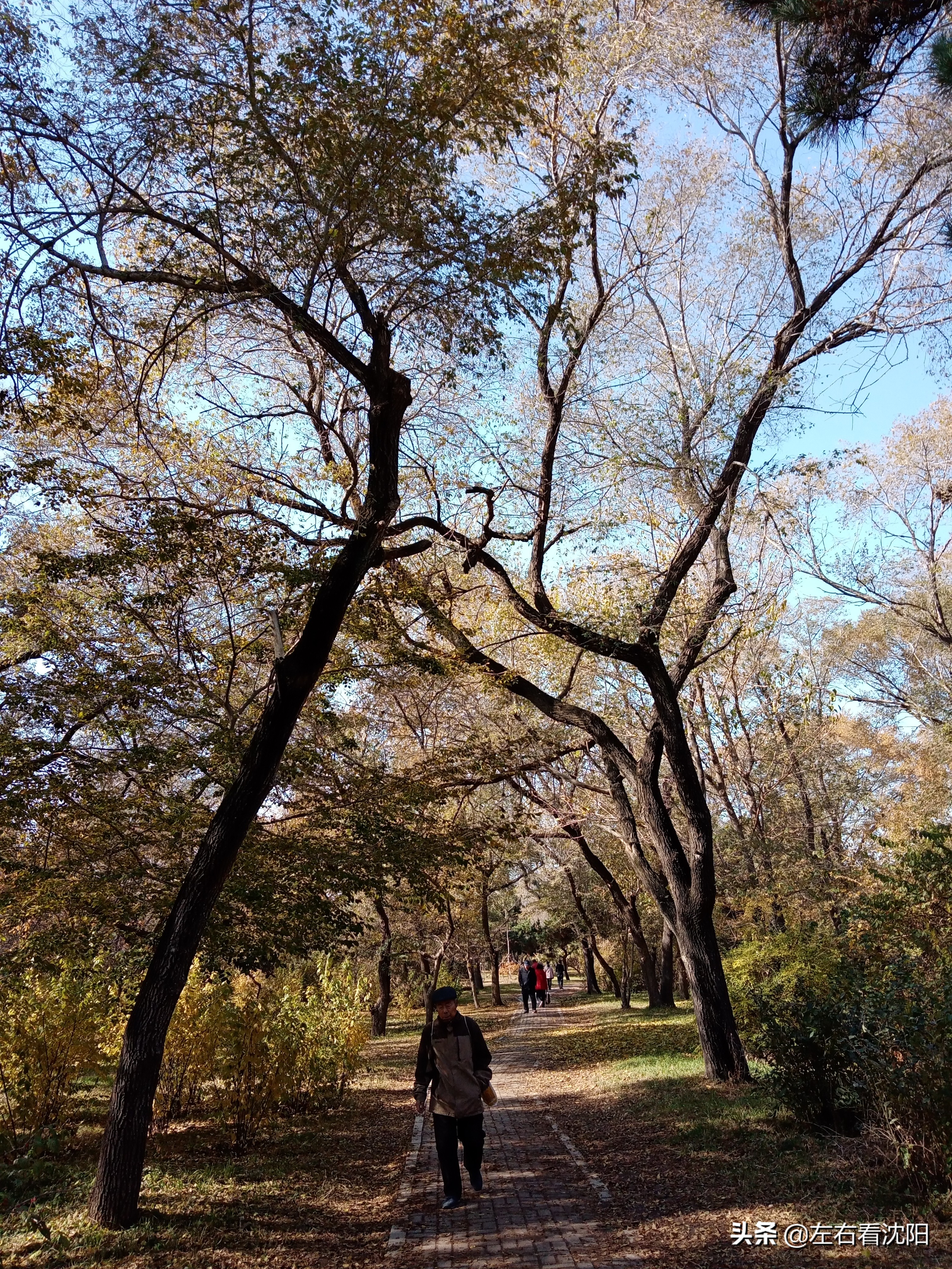 秋季沈阳北陵公园有啥好玩的,漫步沈阳北陵公园湖水边