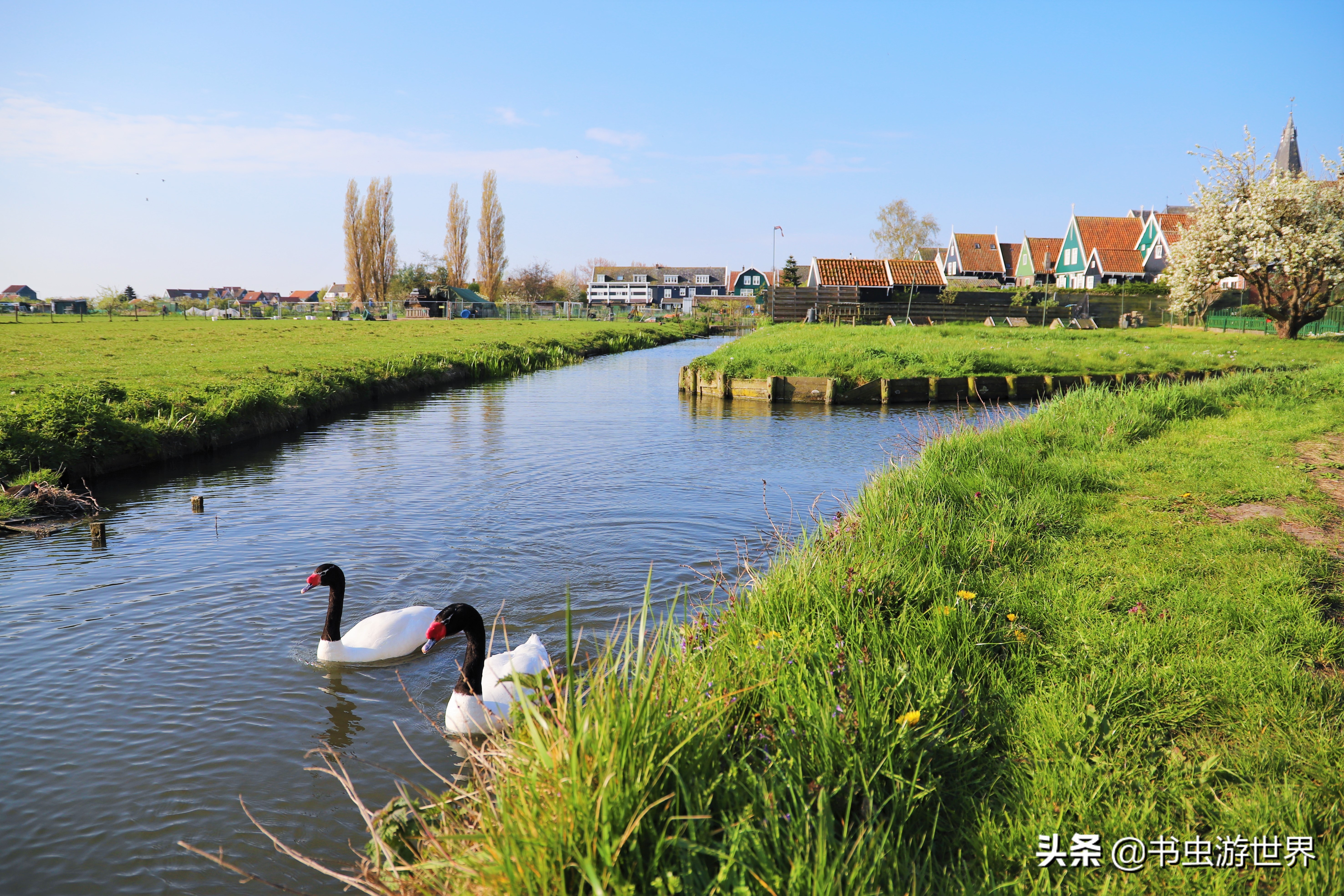 红顶小木屋,红顶绿墙小木屋
