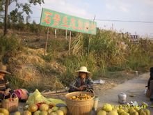 来宾市象州县寺村镇概况,广西壮族自治区来宾市象州县简介