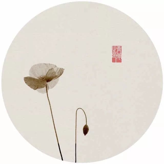 苏东坡不如归去,苏轼何日归去做个闲人