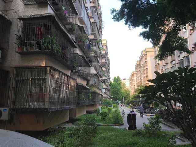 鍚嶆牎瑙ｈ,鑲叉墠瀛︽牎涓轰粈涔堣繖涔堝彈娆㈣繋