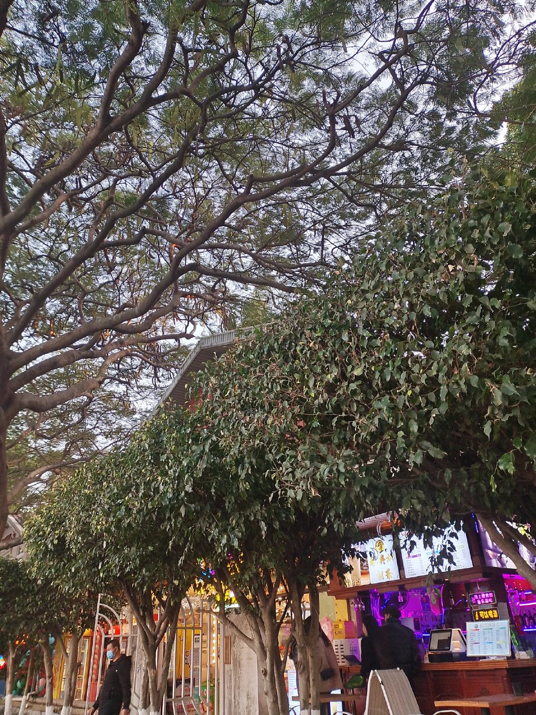 厦门不仅有美丽的风景还有好吃的,厦门旅游美食美景照片