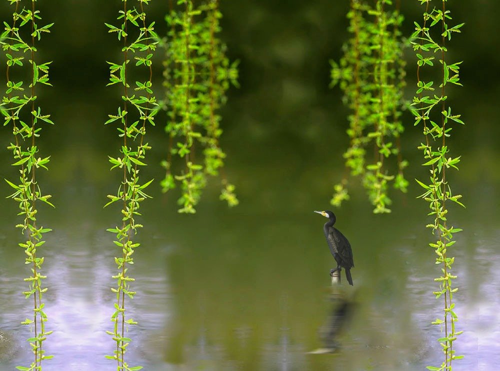 描写春天的好句子摘抄10个字,写春天的优美语段好句子摘抄