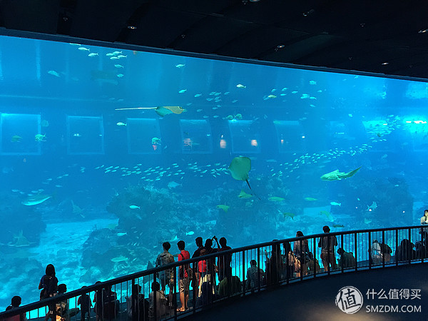 海滩沙地游戏攻略,超级沙滩冒险游戏攻略