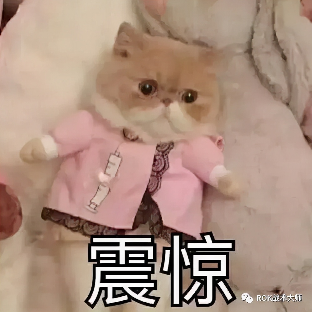 万国觉醒戒指图纸获得,万国觉醒埃及之战图纸