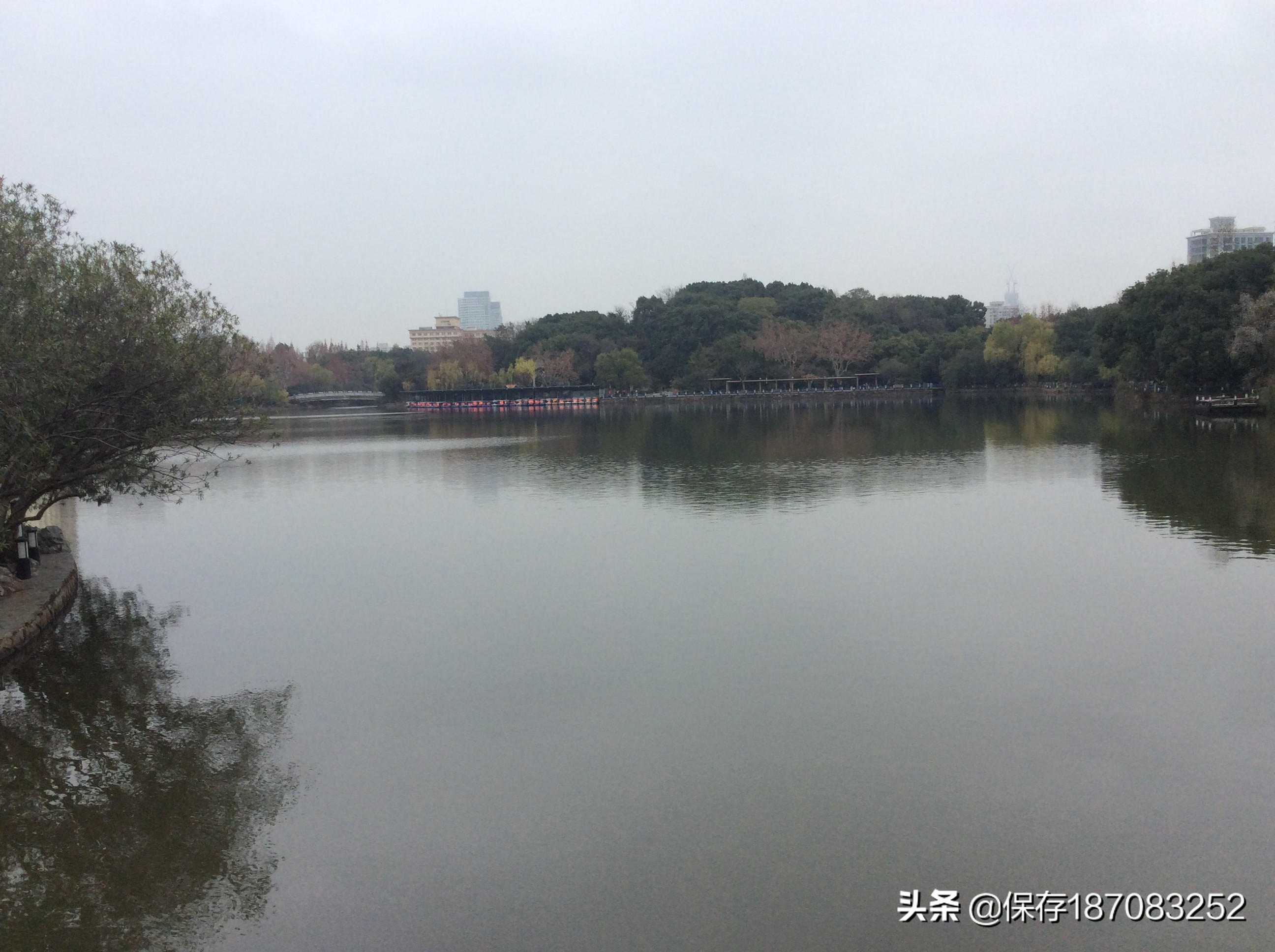 上海普陀山公园,普陀区长风公园在哪