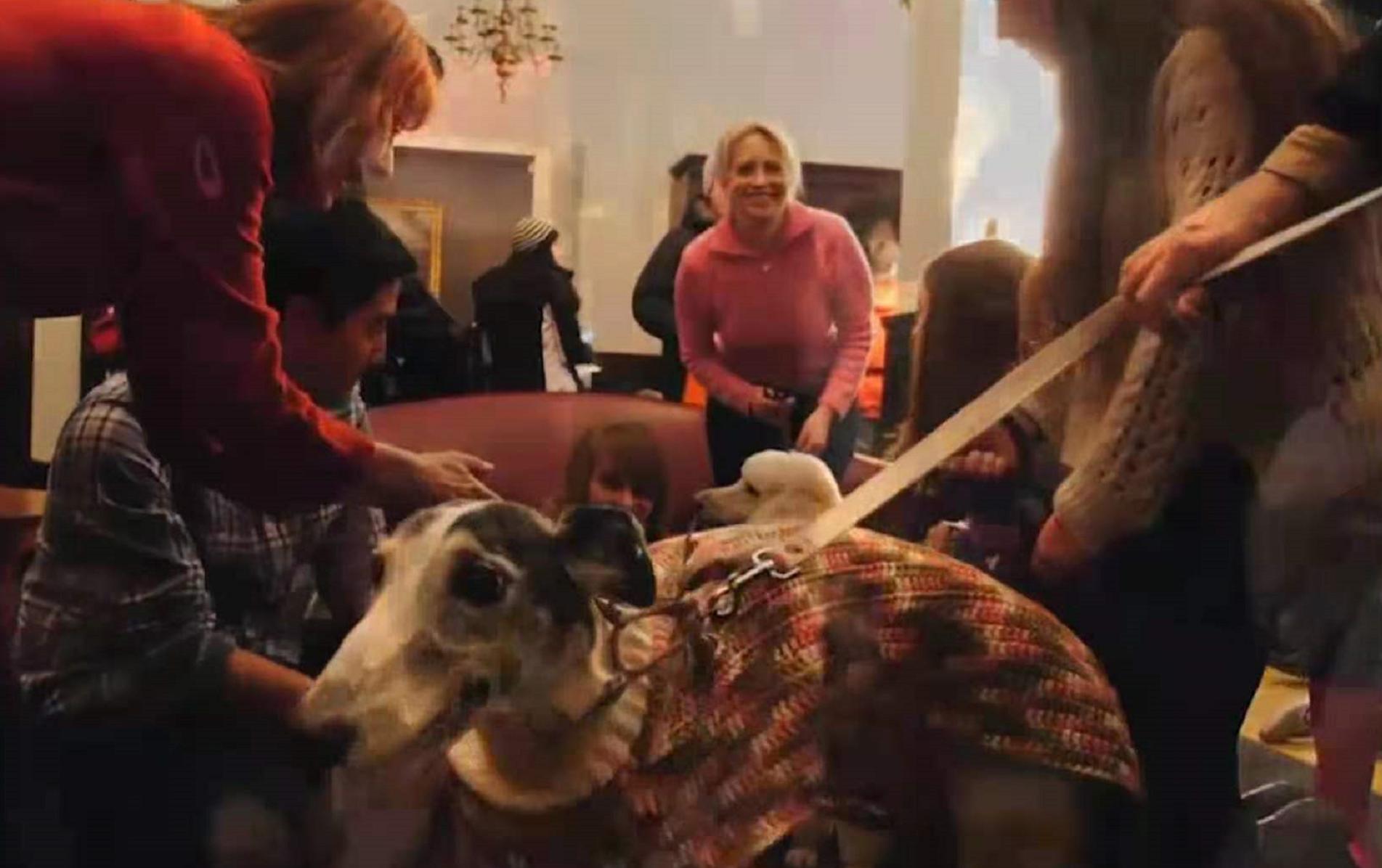 哥伦比亚大学十大特点,哥伦比亚大学世界排名是第几名