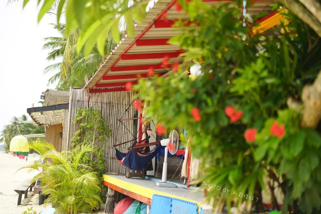 美国艺术家老夫妇定居苏梅岛十年，教游客画垃圾桶，唤醒环保意识