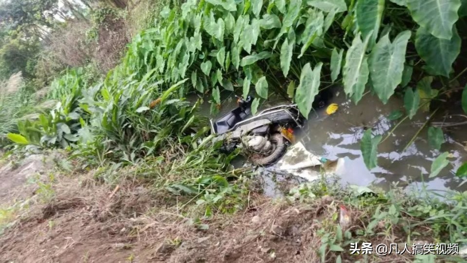 老司机开车躲避行人冲入池塘,老司机开5系