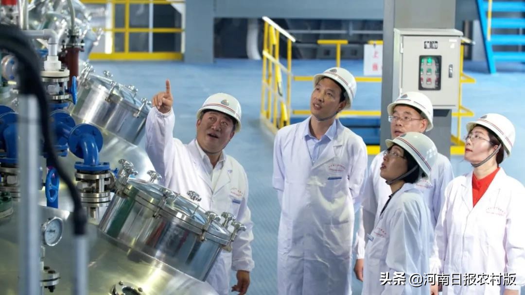 四张照片与河南大学的故事|我和我的学校